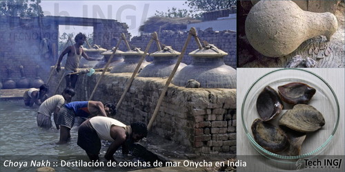 Choya Nakh :: Destilación de conchas de mar Onycha en India