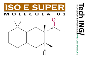 Molecula 01 :: Iso E Super by Tech ING/ Argentina