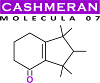 molecula 07 : cashmeran