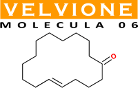 molecula 06 : velvione